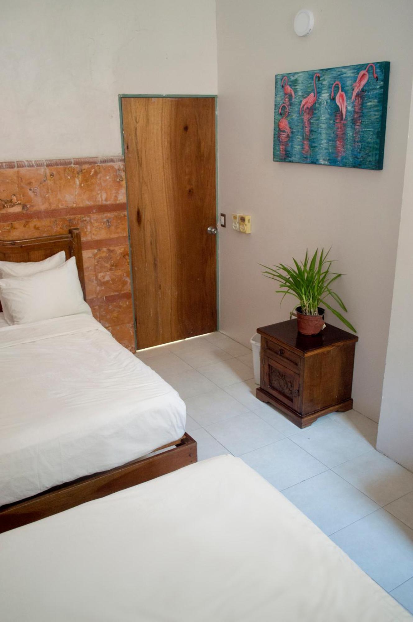 ホテル Hostal Zocalo メリダ エクステリア 写真