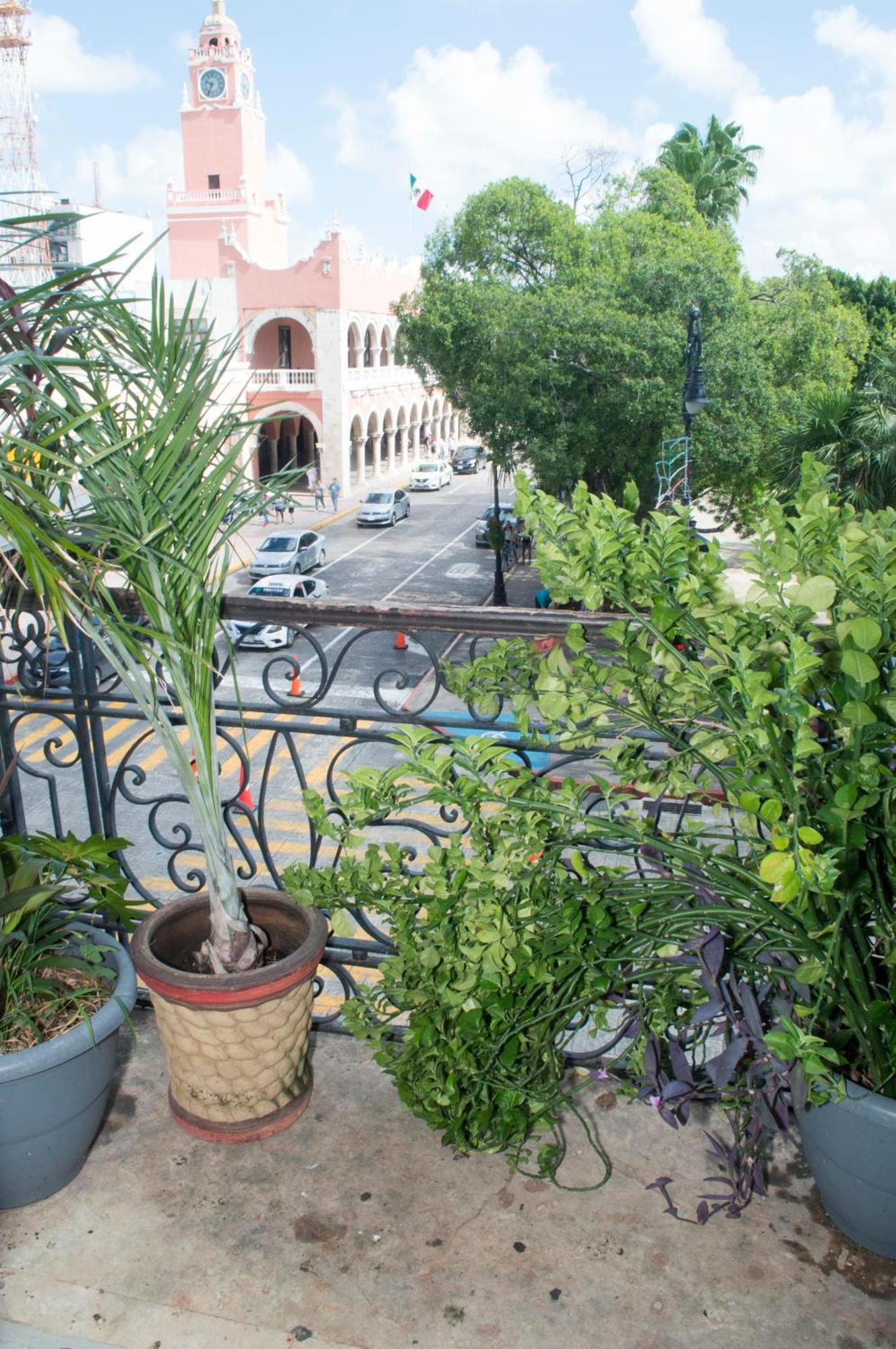 ホテル Hostal Zocalo メリダ エクステリア 写真